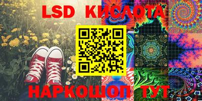 мяу мяу мука Краснознаменск