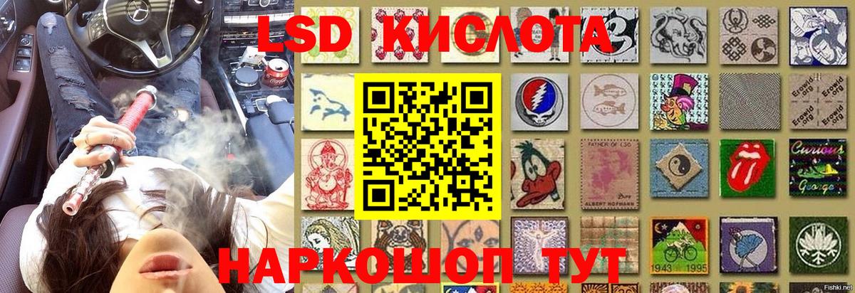 как найти закладки  Вход с VPN  Наркотические марки 1500мкг  Королёв  Наркотические марки 1500мкг  Марки NBOMe 