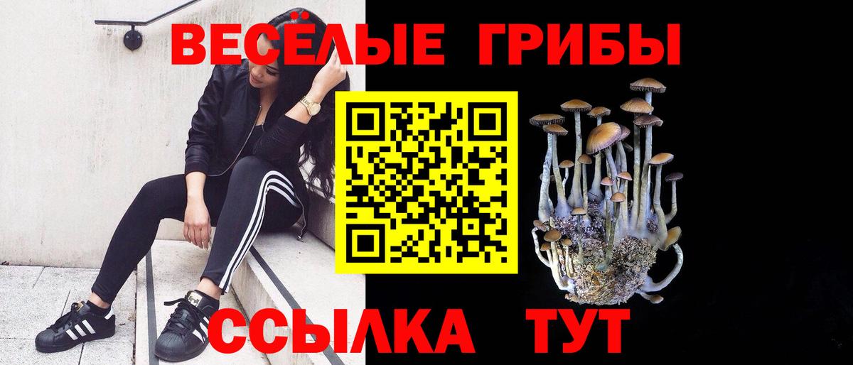 Псилоцибиновые грибы Magic Shrooms Королёв